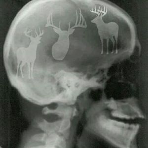 Meet your Posher, Dennis